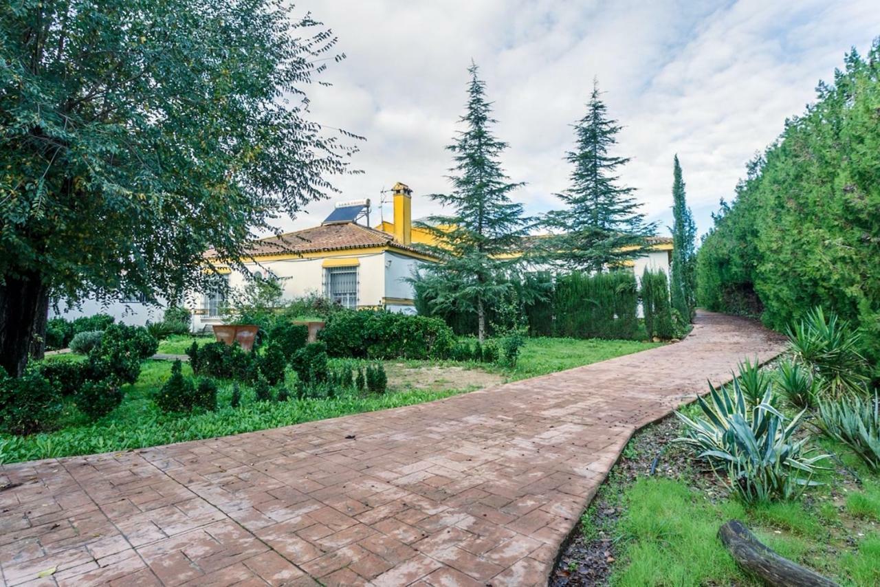 Palomares del Río Casa Elizabeth 아파트 외부 사진